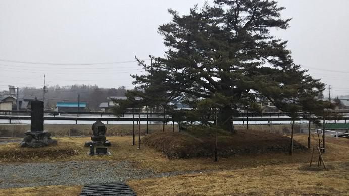 米沢市の世町桑山（旧万世小学校跡地）の一本松