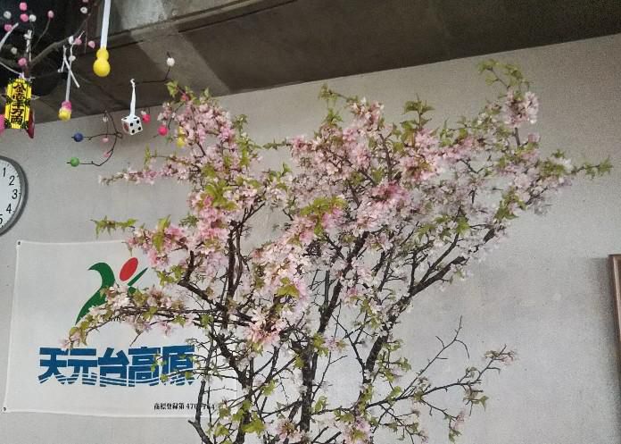 山桜