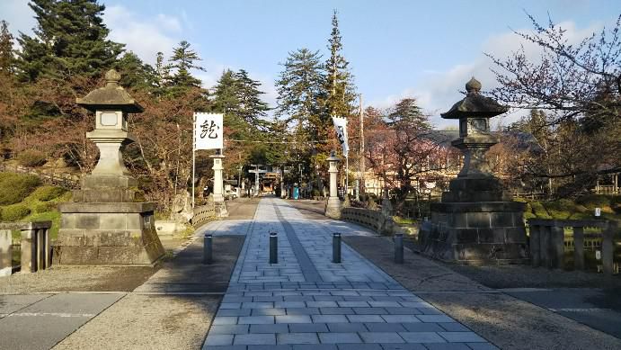 上杉神社のさくら