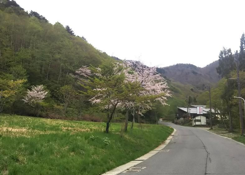 夏山登山