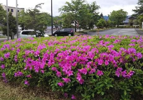 伝国の杜前
