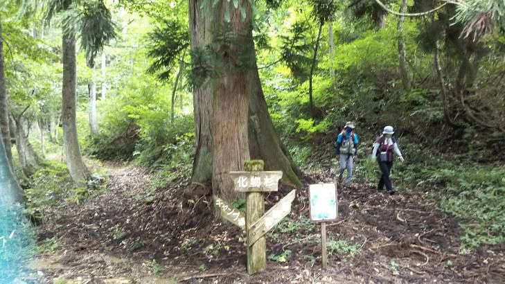 イザベラバードの通った道(山形県小国町編）その3”朴の木峠(2/2)”