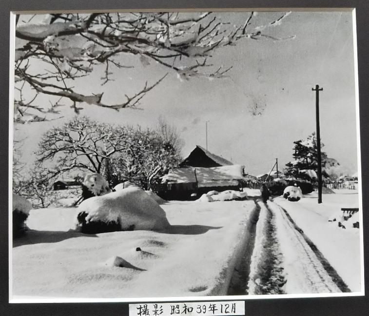 昭和の写真