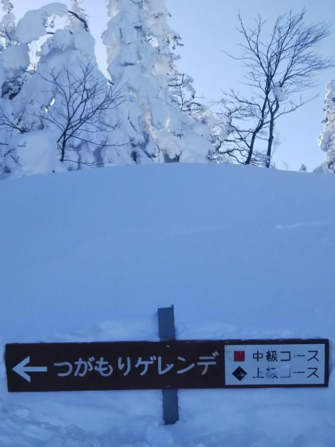 天元台春の陽気
