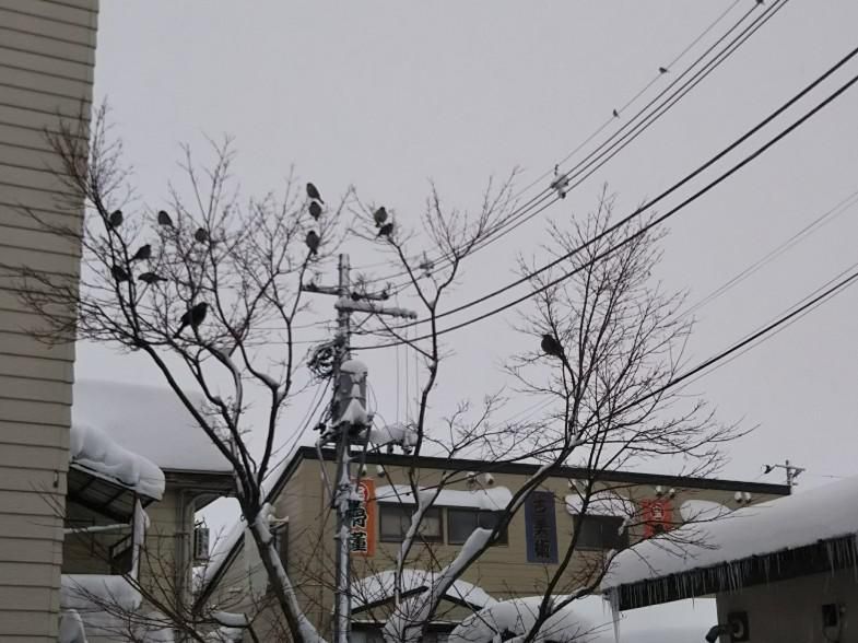 寒空の中で止まり木