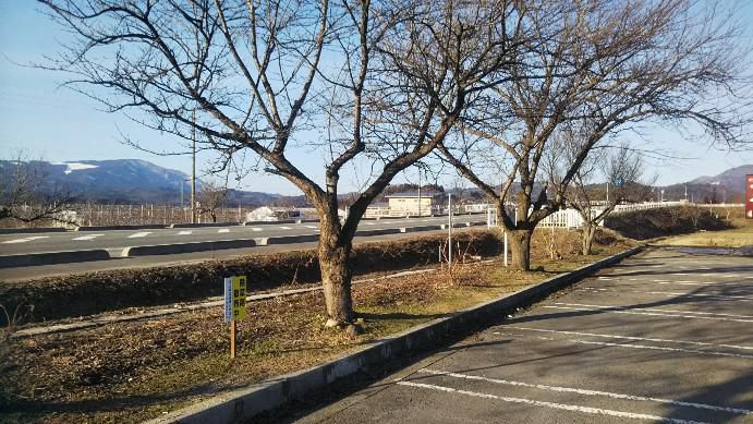昨日はあったか日曜日