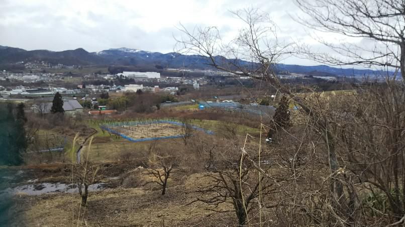 上山市内を望む