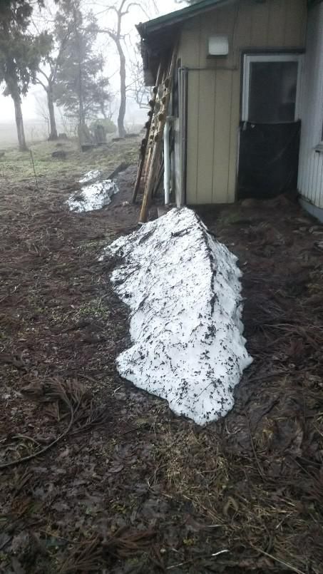 自宅周りの雪