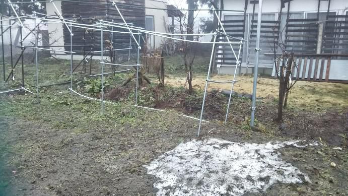 家の前の雪