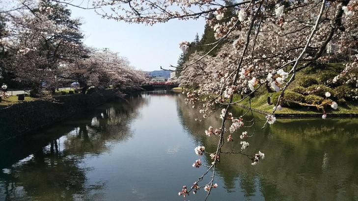 春の陽気に誘われて