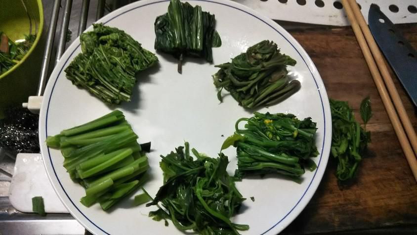 山菜味比べ