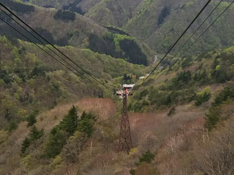 標高1126m付近まで新緑に