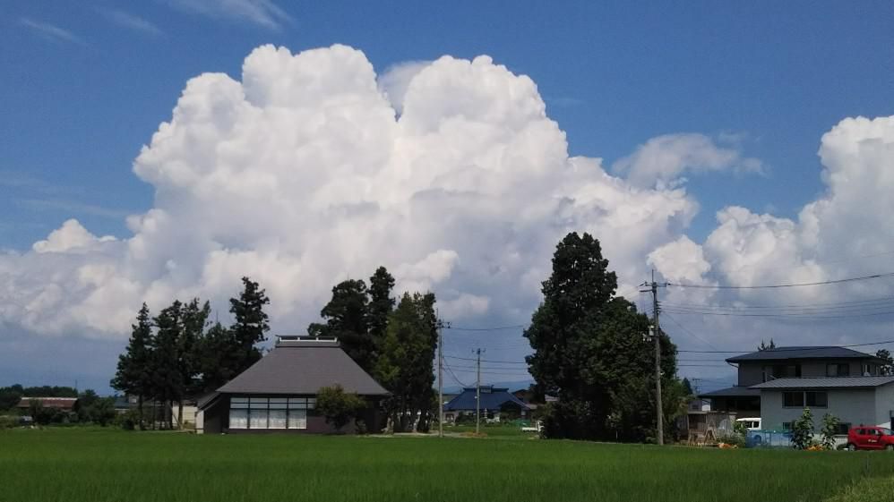 盛夏