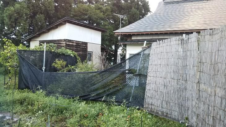 台風の影響で