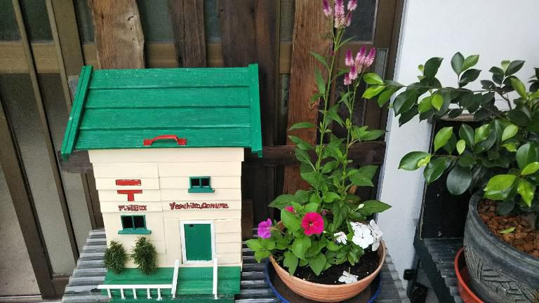 玄関の花、衣替え