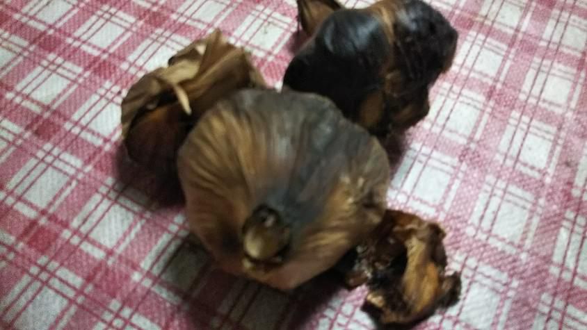 黒ニンニク