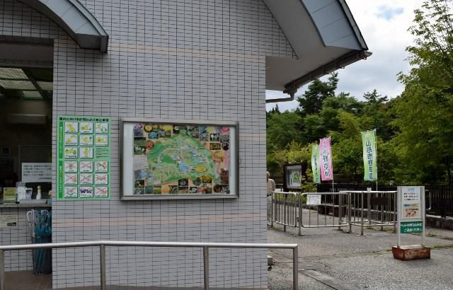 山形市野草園