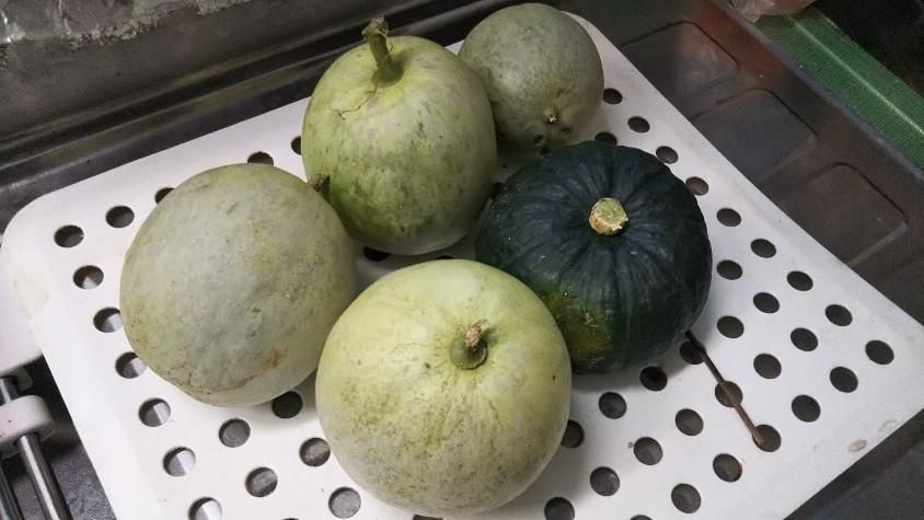 メロン片付け