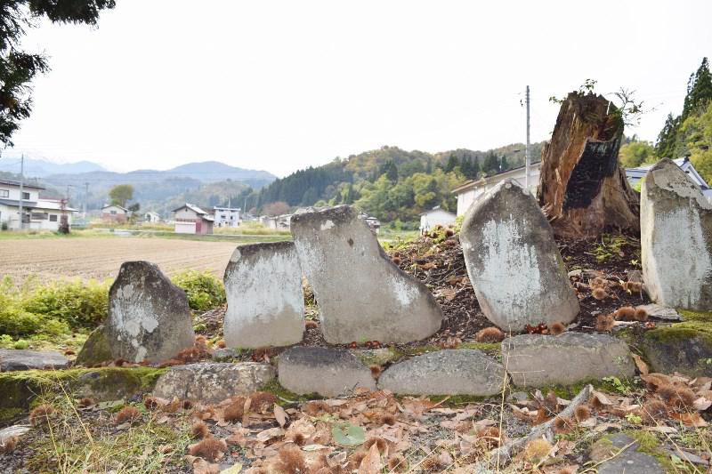 飯豊町白川　白川寺の草木塔