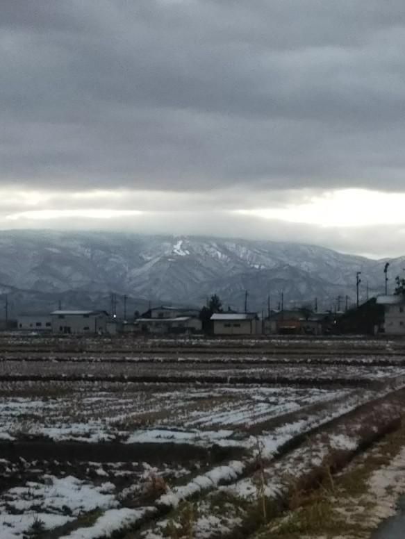 昨日の朝