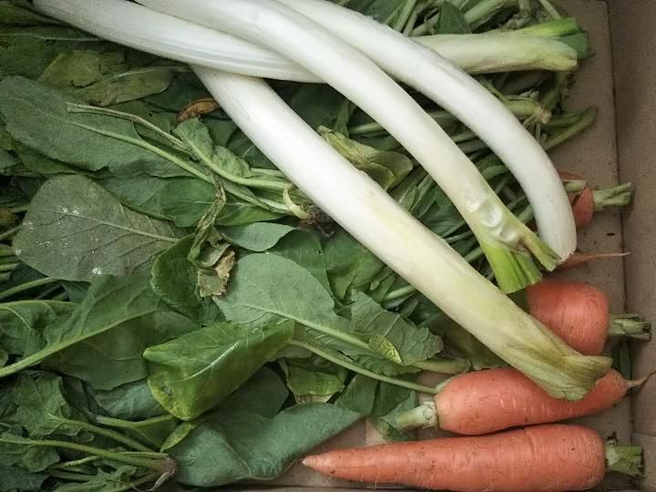 頂き物野菜