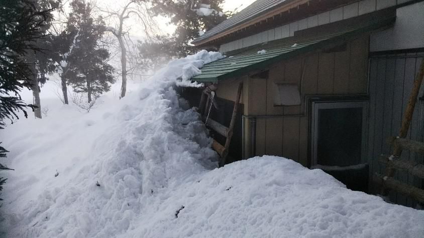 今年は大雪