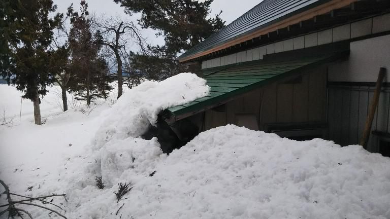 お出かけ前の一仕事
