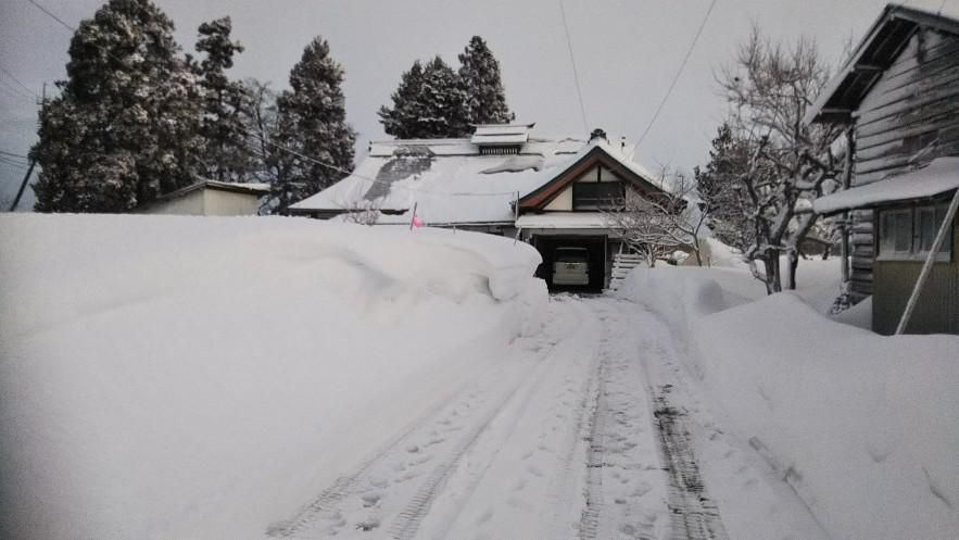 昨日は吹雪