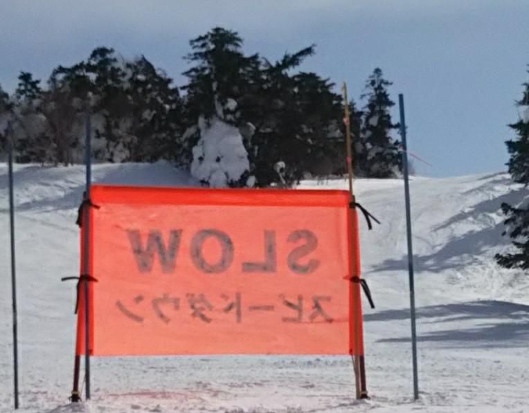 雪わんこ