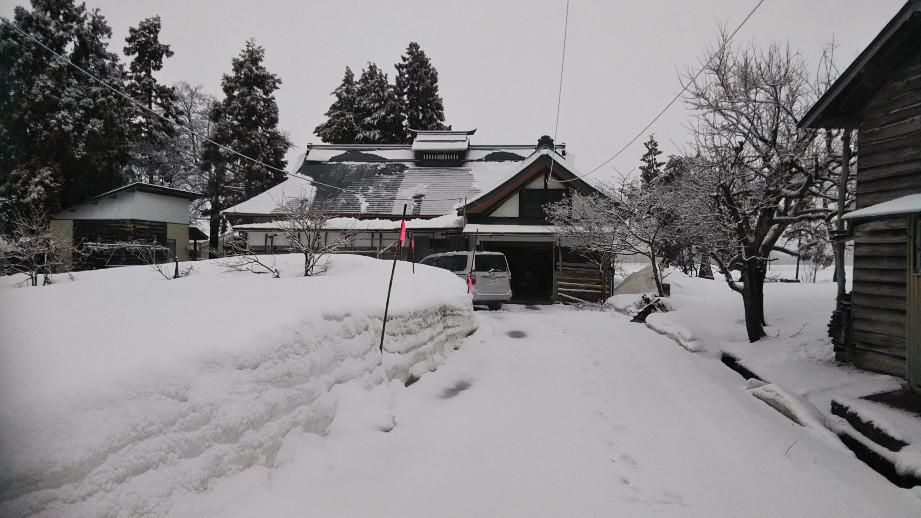 春の雪