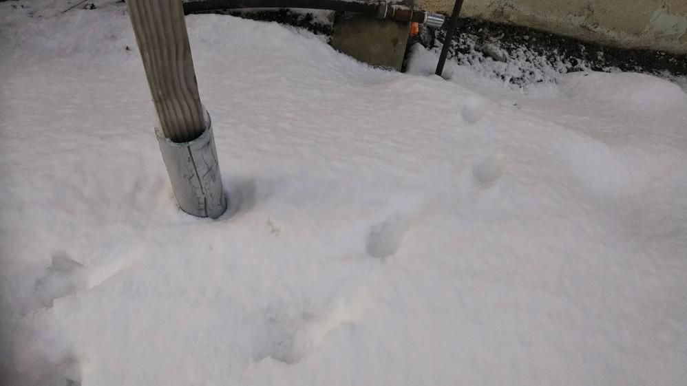 足あと