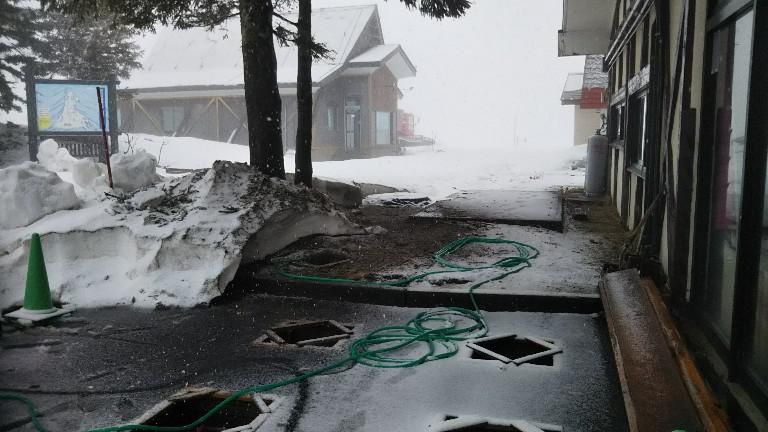 春の雪