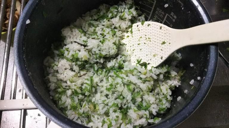 コシアブラご飯