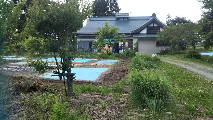 梅雨入り