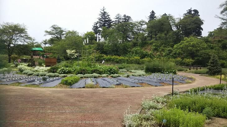 置賜公園ハーブ園