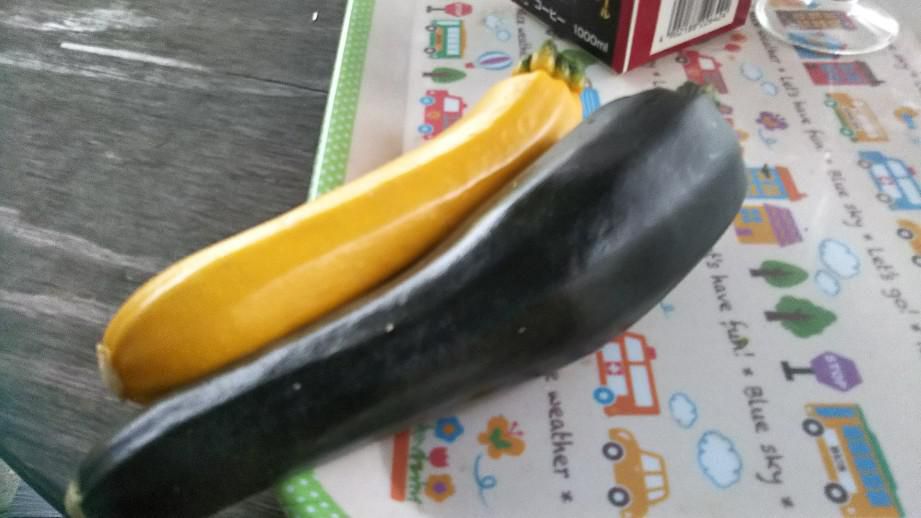 ズッキーニ