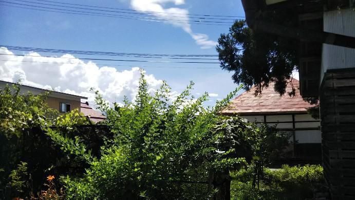 夏の空