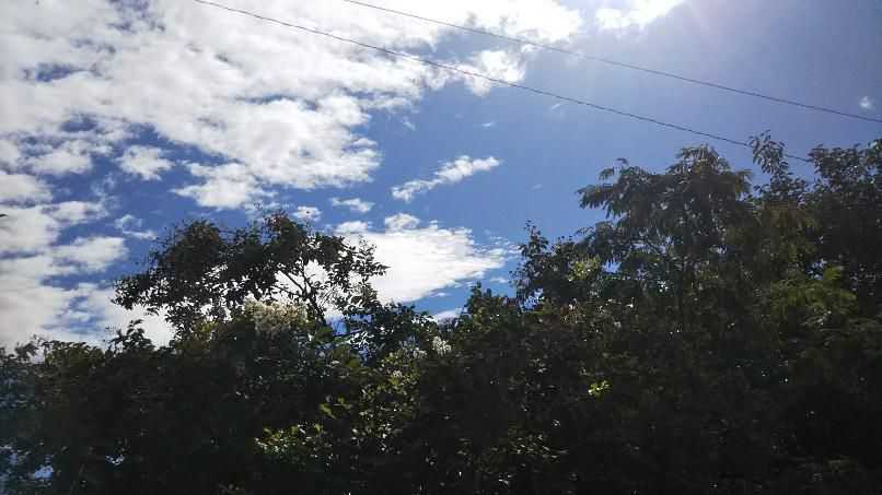 秋の空