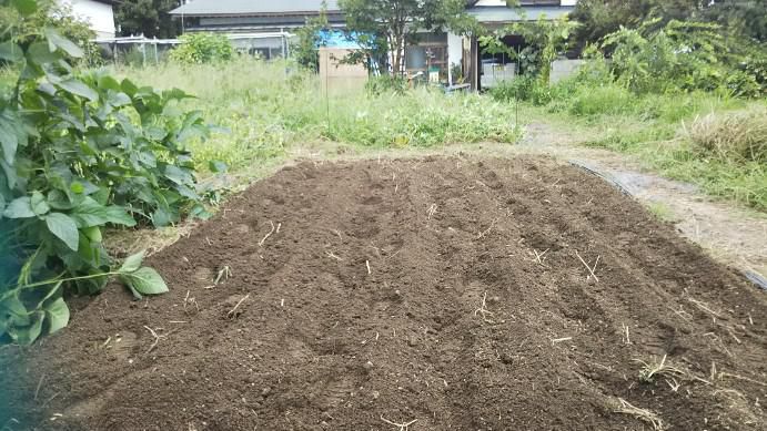 秋の菜植え付け準備