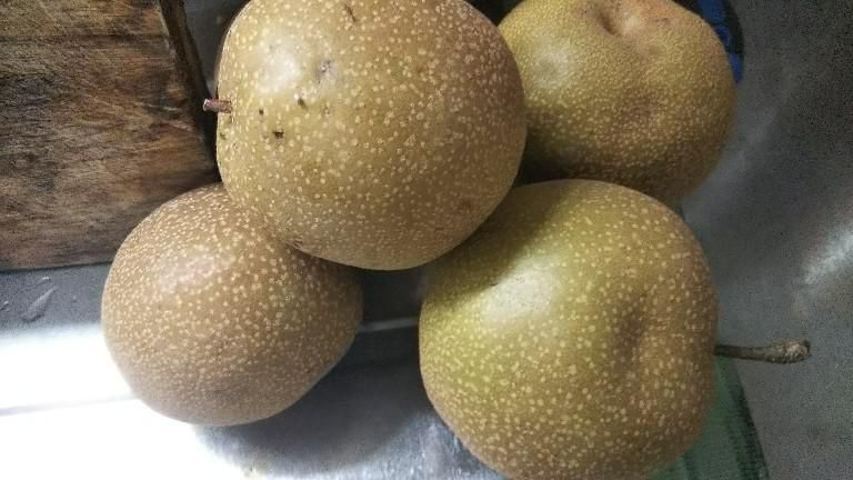 梨