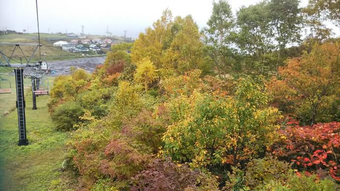 紅葉