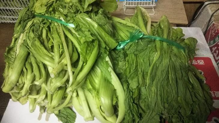 山形青菜