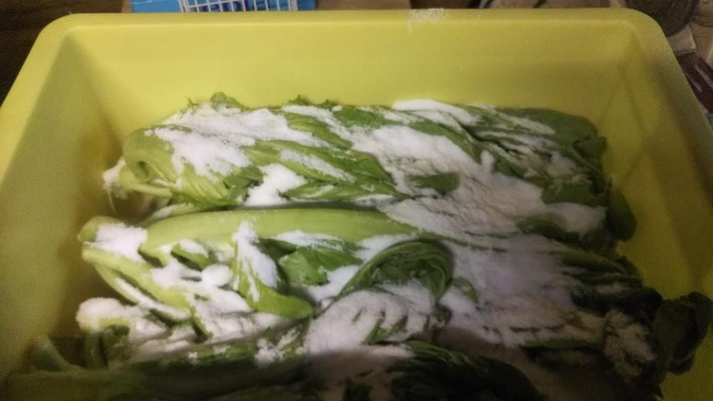青菜漬