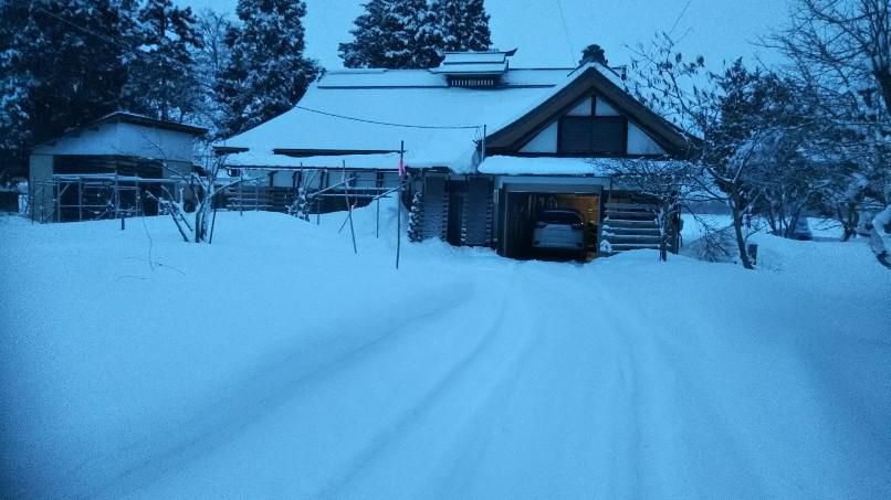 久しぶりの除雪