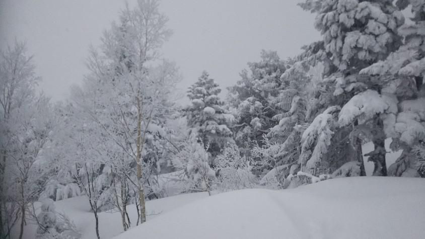 －15℃の世界