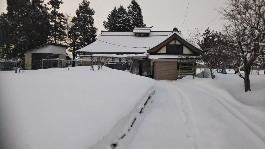 うっすらと雪
