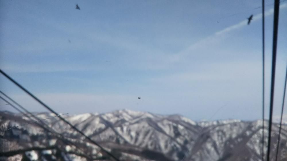 岩つばめ