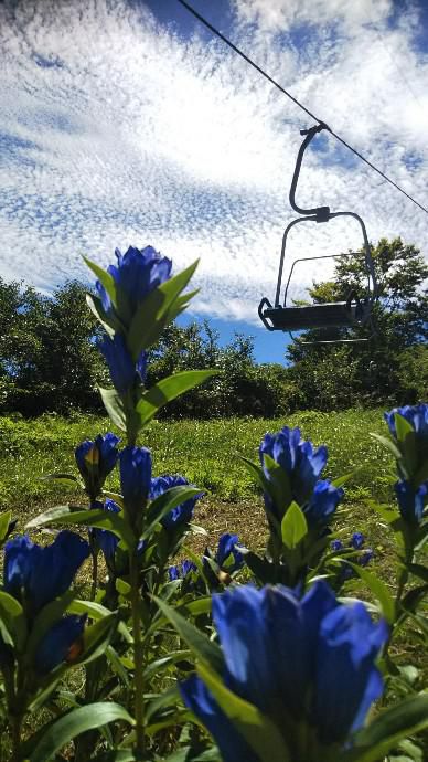 秋の空
