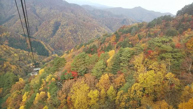 天元台今日で夏山営業終了