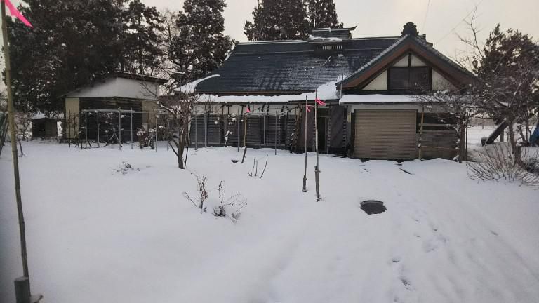 今朝の我が家前
